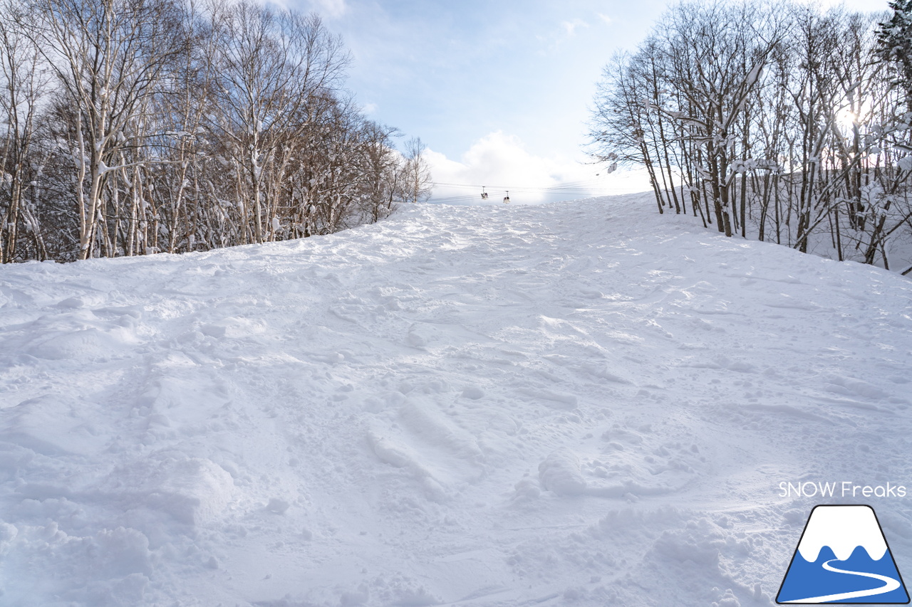 マウントレースイ｜お正月の記録的な大雪でゲレンデのコンディションはバッチリ！凸凹の未圧雪エリアを楽しみましょう♪